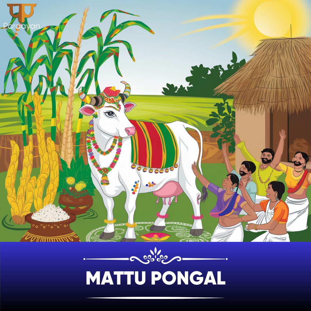 What Makes Mattu Pongal a Unique Celebration in Tamil Nadu? – Paraayan