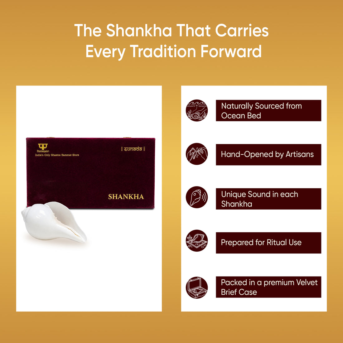 Paraayan Premium Shankha for Pooja | Sacred Conch Shell for Vishnu & Lakshmi Worship | Handcrafted by Skilled Artisans | Invites Narayan's Energy | Ideal for Aarti, Abhishek, Hawan & Temple Rituals