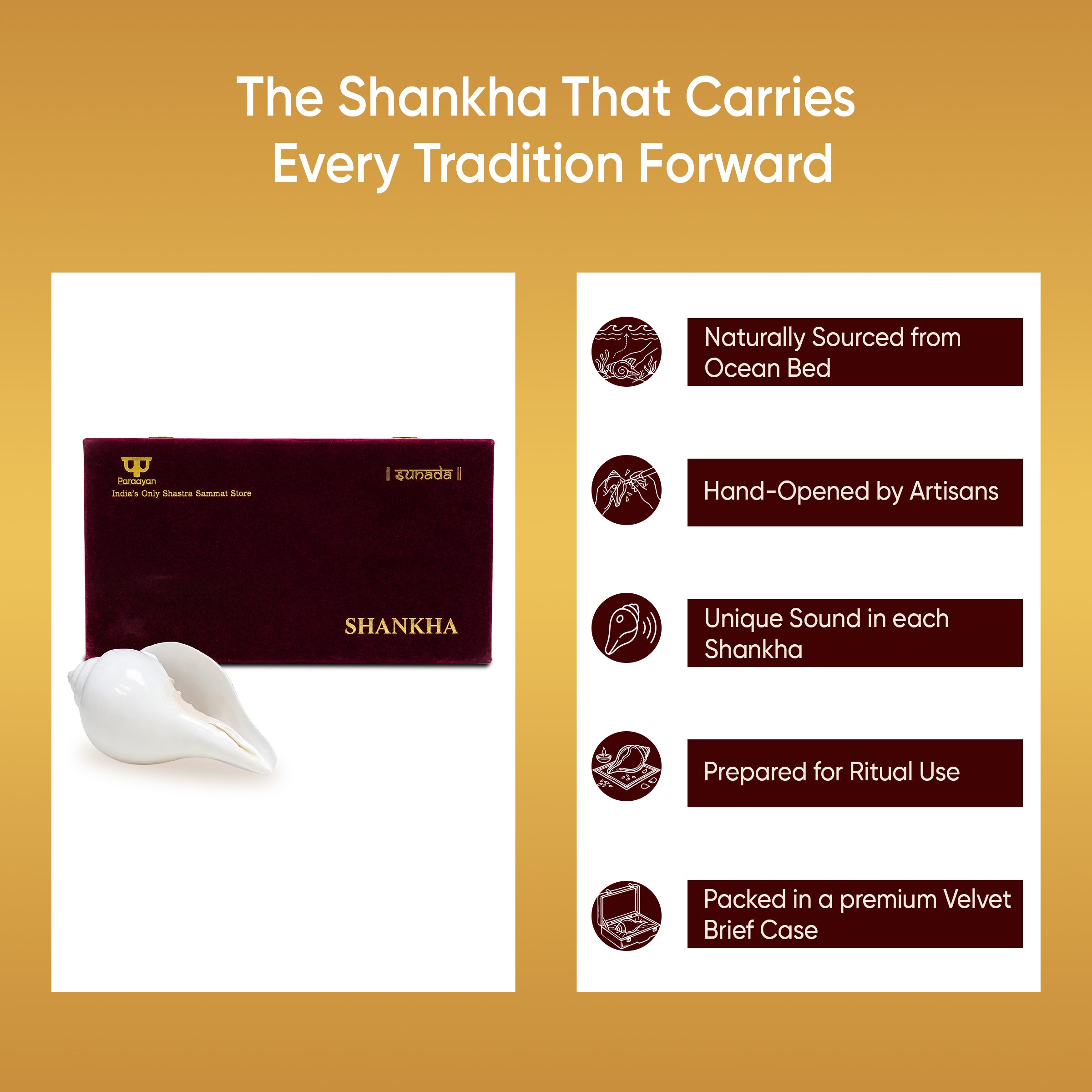 Paraayan Premium Shankha for Pooja | Sacred Conch Shell for Vishnu & Lakshmi Worship | Handcrafted by Skilled Artisans | Invites Narayan's Energy | Ideal for Aarti, Abhishek, Hawan & Temple Rituals
