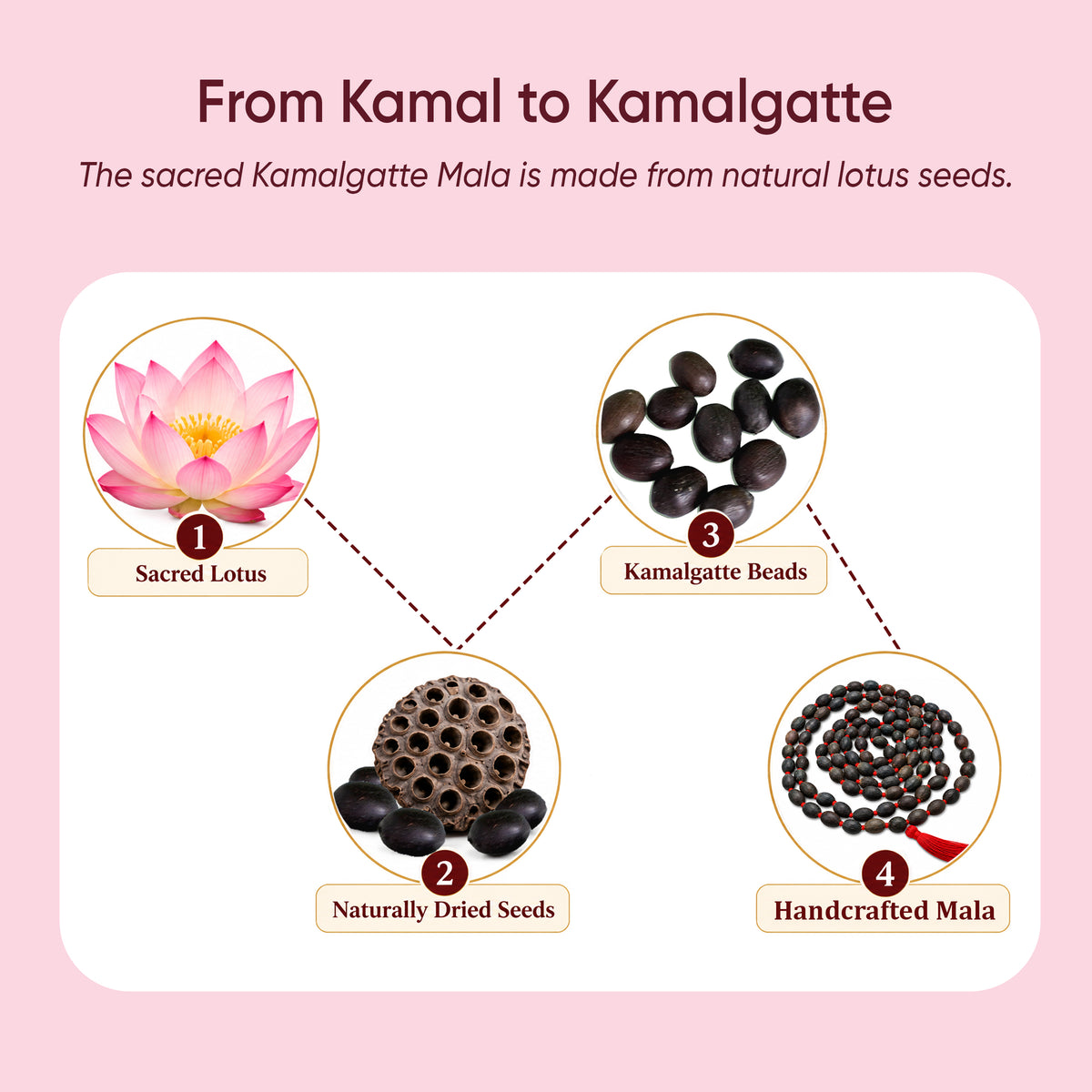 Paraayan Natural Pure Kamalgatte Ki Mala with 108 Beads for Pooja | Made from Authentic Lotus Seeds as a Pure Jaap Mala | Best for Lakshmi Pooja, Meditation & Mantra Jaap | Pack of 1