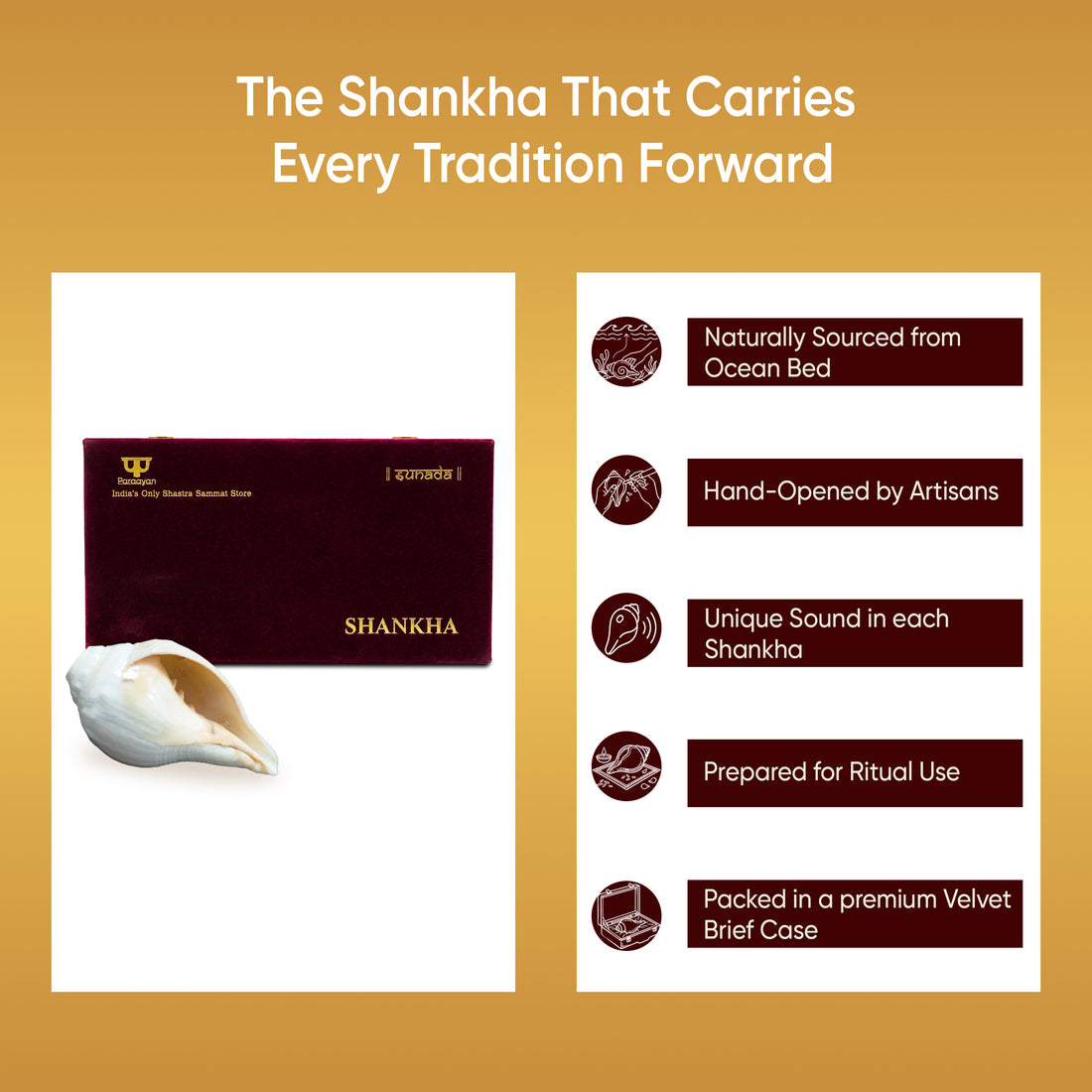 Paraayan Premium 6 Inch Shankha for Pooja | Sacred Conch Shell for Vishnu & Lakshmi Worship | Handcrafted by Skilled Artisans | Invites Narayan's Energy | Ideal for Aarti, Abhishek, Hawan & Temple Rituals